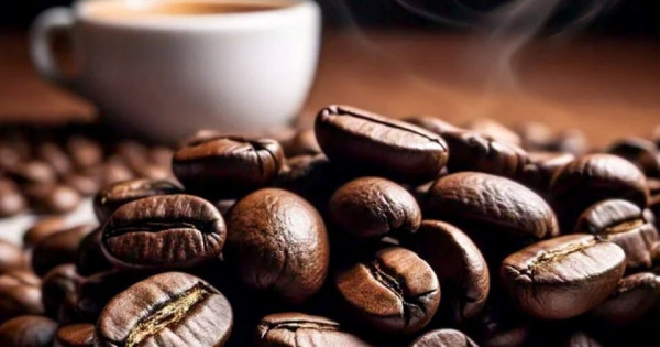 Giá nông sản ngày 10/12/2025: Cà phê giảm mạnh