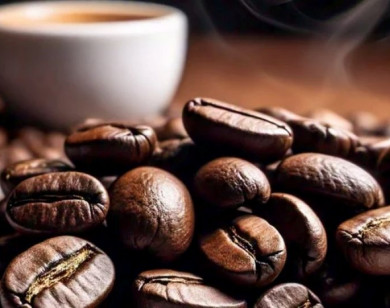 Giá nông sản ngày 10/12/2025: Cà phê giảm mạnh