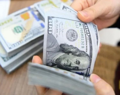 Giá ngoại tệ ngày 12/12/2025: USD giảm mạnh