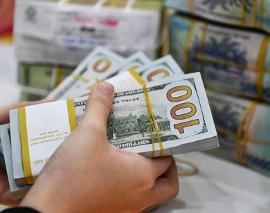 Giá ngoại tệ ngày 13/12/2025: USD tiếp tục mất giá