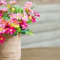 Tử vi ngày 14/12/2025 của 12 cung hoàng đạo: Bảo Bình cần chú ý chăm sóc bản thân