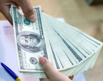 Giá ngoại tệ ngày 14/12/2025: USD sụt giảm sau quyết định của Fed