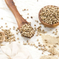 Giá nông sản ngày 15/12/2025: Hồ tiêu vững vàng giữ giá cao, cà phê giảm mạnh 3 tuần liên tiếp