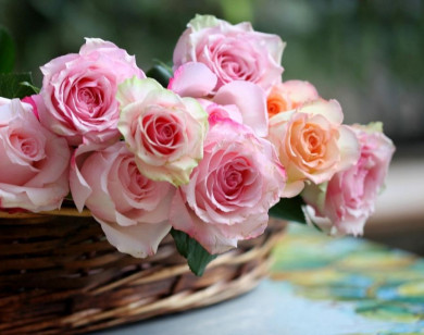 Tử vi ngày 17/12/2025 của 12 cung hoàng đạo: Song Tử tài chính chưa có khởi sắc mới