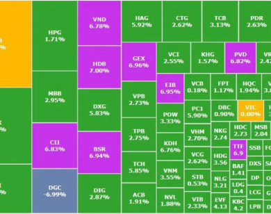 Thị trường thi nhau "xanh tím", 1 cổ phiếu hóa chất "nằm sàn"