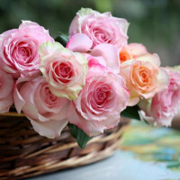 Tử vi ngày 17/12/2025 của 12 cung hoàng đạo: Song Tử tài chính chưa có khởi sắc mới