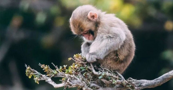 Con số may mắn tài lộc ngày 19/12/2025 của 12 con giáp