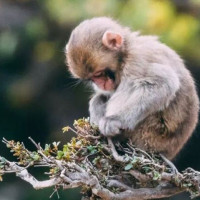 Con số may mắn tài lộc ngày 19/12/2025 của 12 con giáp