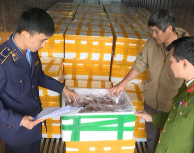 Thanh Hóa: Phát hiện hơn 10 tấn cá khoai ướp chất cấm Formol nhập từ Trung Quốc