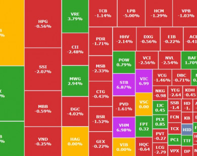 VN-Index lập đỉnh lịch sử hơn 1.772 điểm, “họ Vin” kéo chỉ số bất chấp sắc đỏ lan rộng