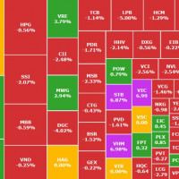 VN-Index lập đỉnh lịch sử hơn 1.772 điểm, “họ Vin” kéo chỉ số bất chấp sắc đỏ lan rộng