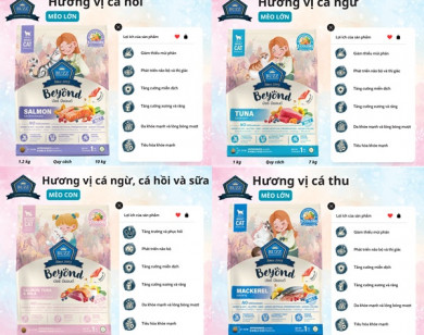 Thức ăn hạt “BUZZ” - Sức khỏe vượt trội cho thú cưng cuộc sống tốt đẹp hơn