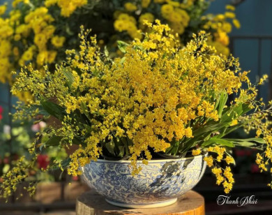 Tử vi ngày 27/12/2025 của 12 cung hoàng đạo: Ma Kết tài chính khá tốt