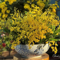 Tử vi ngày 27/12/2025 của 12 cung hoàng đạo: Ma Kết tài chính khá tốt