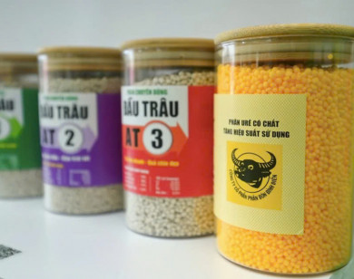 Bình Điền MeKong: Người bạn đồng hành tin cậy của nông nghiệp đô thị xanh