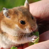 Con số may mắn tài lộc ngày 30/12/2025 của 12 con giáp