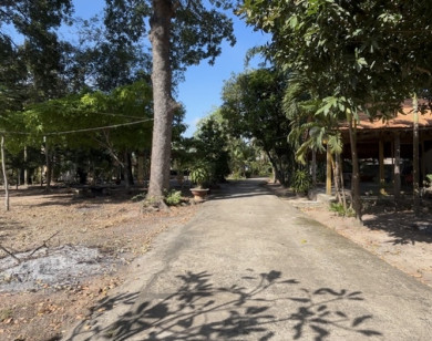 TP Hồ Chí Minh: Xét xử phúc thẩm vụ án tranh chấp đòi lại tài sản là quyền sử dụng đất