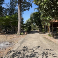 TP Hồ Chí Minh: Xét xử phúc thẩm vụ án tranh chấp đòi lại tài sản là quyền sử dụng đất