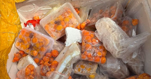 TP Hồ Chí Minh phát hiện hơn 30 tấn thực phẩm không rõ nguồn gốc