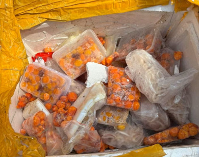 TP Hồ Chí Minh phát hiện hơn 30 tấn thực phẩm không rõ nguồn gốc