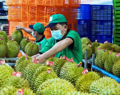 Năm 2025 - nông nghiệp tăng trưởng cao, xuất khẩu bứt phá