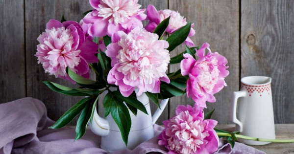 Tử vi ngày 2/1/2026 của 12 cung hoàng đạo: Ma Kết công việc gặp nhiều khó khăn