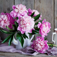 Tử vi ngày 2/1/2026 của 12 cung hoàng đạo: Ma Kết công việc gặp nhiều khó khăn