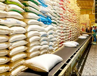 Từ xanh hóa sản xuất đến nâng cao lợi thế cạnh tranh cho hạt gạo Việt