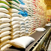 Từ xanh hóa sản xuất đến nâng cao lợi thế cạnh tranh cho hạt gạo Việt