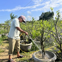 Nâng cao hiệu quả kinh tế từ các mô hình vườn tại Đà Nẵng