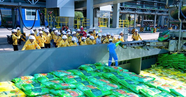 Nhà máy Đạm Cà Mau chạm mốc 12 triệu tấn Urea 