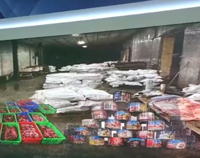 Triệt phá đường dây tuồn hơn 120 tấn thịt lợn dịch tả vào Công ty đồ hộp Hạ Long