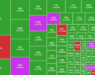 Thị trường rung lắc mạnh, cổ phiếu ngân hàng, dầu khí tiếp tục làm trụ đỡ