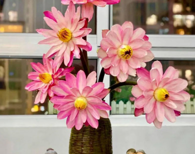 Tử vi ngày 9/1/2026 của 12 cung hoàng đạo: Song Ngư tài chính có sự cải thiện rõ rệt