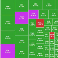 Thị trường rung lắc mạnh, cổ phiếu ngân hàng, dầu khí tiếp tục làm trụ đỡ