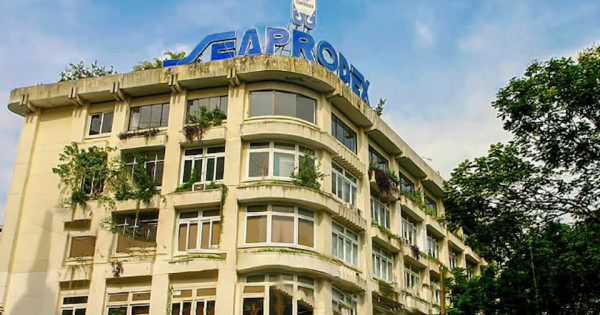 Thương vụ 1.400 tỷ của nhóm cổ đông Seaprodex và "cú sốc" 120 tấn thịt bệnh tại Đồ hộp Hạ Long