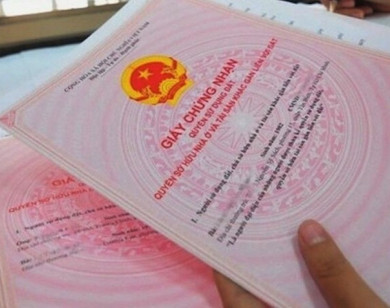 Xuất hiện chiêu trò giả danh cán bộ phường yêu cầu đối chiếu "sổ đỏ" để lừa đảo