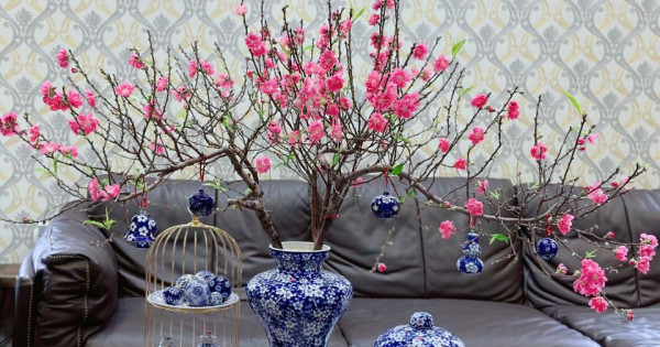 Bí kíp chọn cây cảnh phong thủy dịp Tết giúp "đổi vận", rước lộc vào nhà