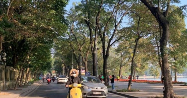 Thời tiết ngày 11/1/2026: Nam Bộ ngày nắng, đêm chuyển lạnh sâu