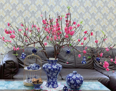 Bí kíp chọn cây cảnh phong thủy dịp Tết giúp "đổi vận", rước lộc vào nhà