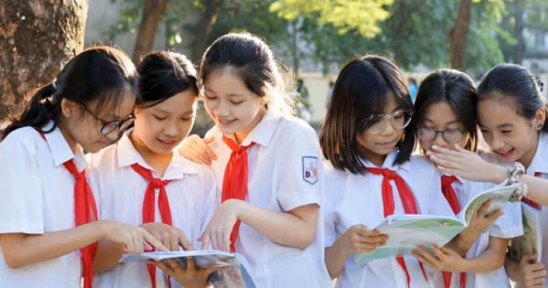 TP Hồ Chí Minh: Hướng dẫn rà soát dữ liệu tuyển sinh đầu cấp năm học 2026 - 2027