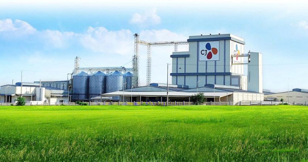 Thanh tra Chính phủ lên kế hoạch thanh tra C.P. Việt Nam, CJ Vina Agri và Japfa Comfeed