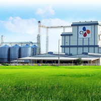Thanh tra Chính phủ lên kế hoạch thanh tra C.P. Việt Nam, CJ Vina Agri và Japfa Comfeed