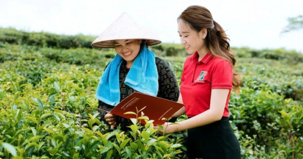 Gỡ rào cản tín dụng xanh