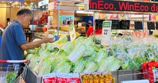 Phát triển hệ thống bán lẻ nông thôn: Cuộc đua hàng Việt chinh phục người tiêu dùng