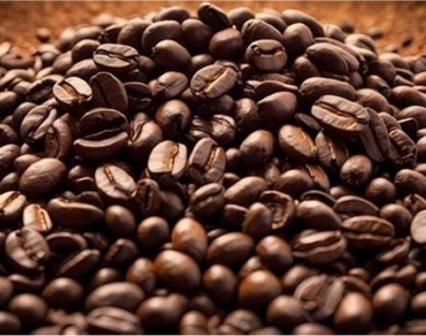 Giá nông sản ngày 12/1/2026: Cà phê và hồ tiêu cùng neo ở mức cao