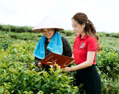 Gỡ rào cản tín dụng xanh