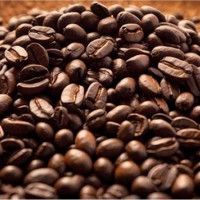 Giá nông sản ngày 12/1/2026: Cà phê và hồ tiêu cùng neo ở mức cao