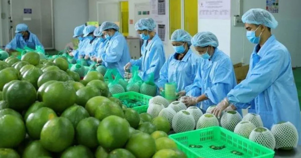 Nông nghiệp khẳng định vai trò “trụ đỡ” của nền kinh tế