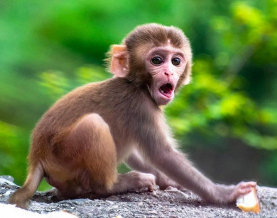 Con số may mắn tài lộc ngày 14/1/2026 của 12 con giáp